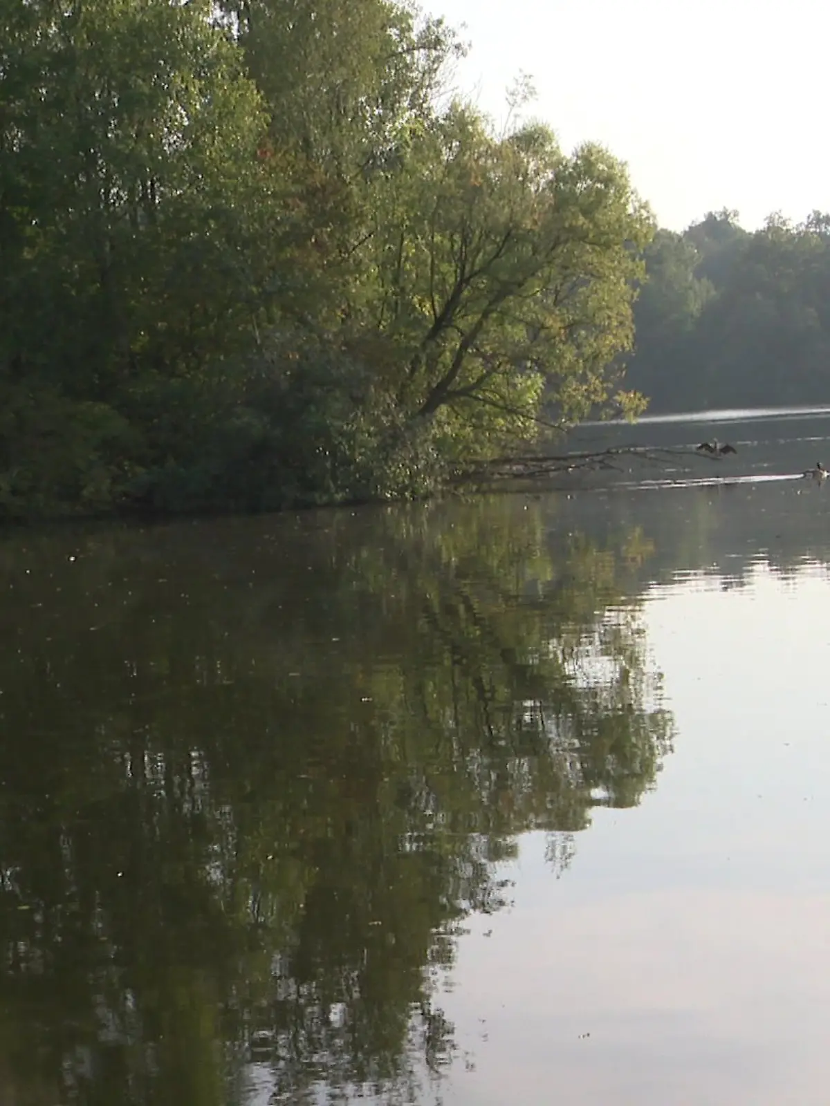 Er rief selbst die Rettungskräfte - seine Ehefrau trieb leblos in einem See