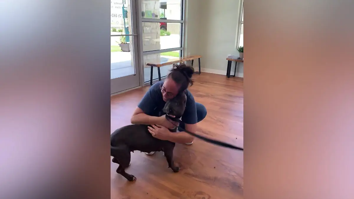 Dieses Wiedersehen wird Sie zu Tränen rühren Hund wurde vor drei Jahren entführt