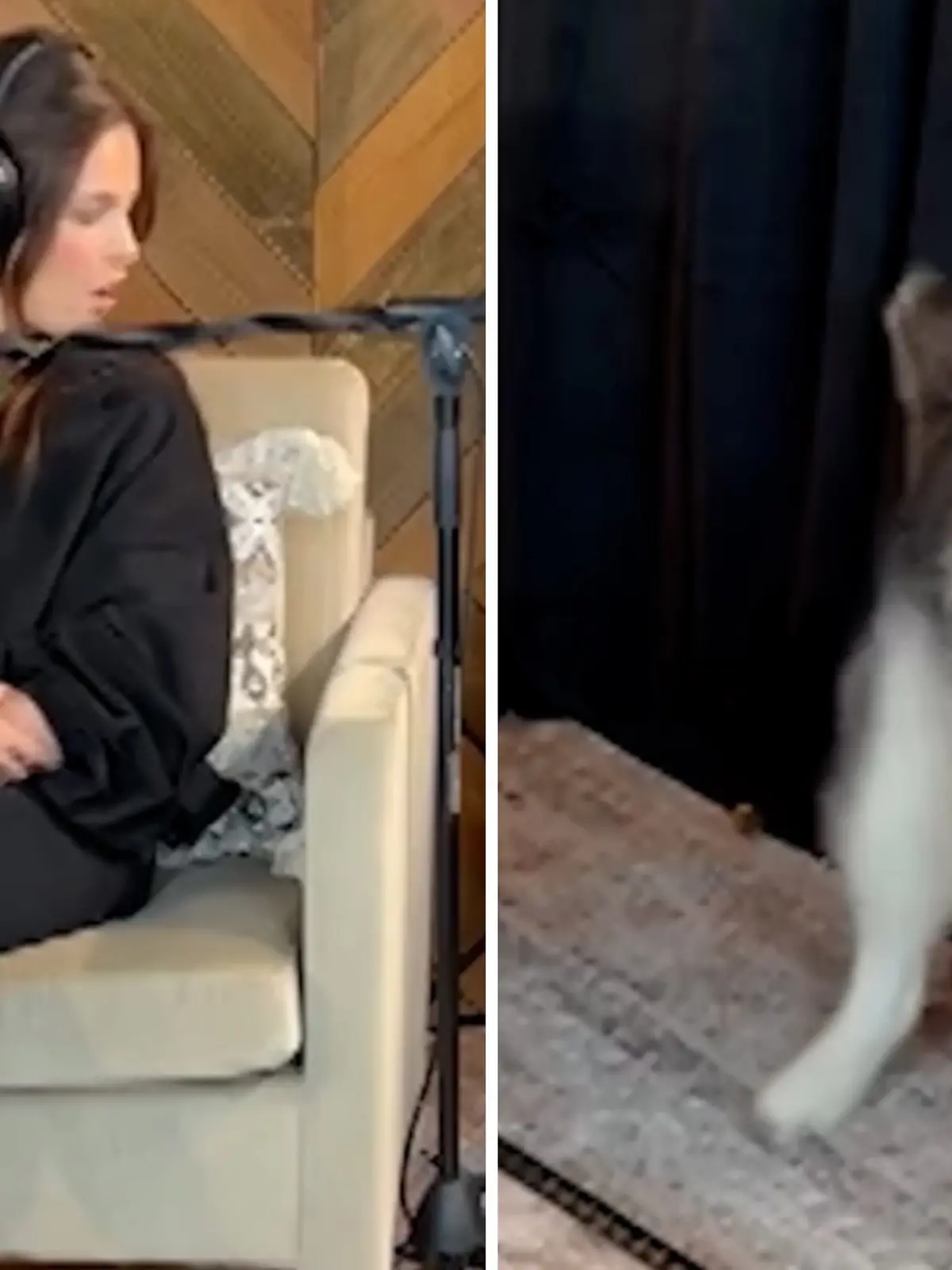 Fotokollage: Links das staunende Frauchen vor dem Mikrofon, rechts der gebückte Hund.