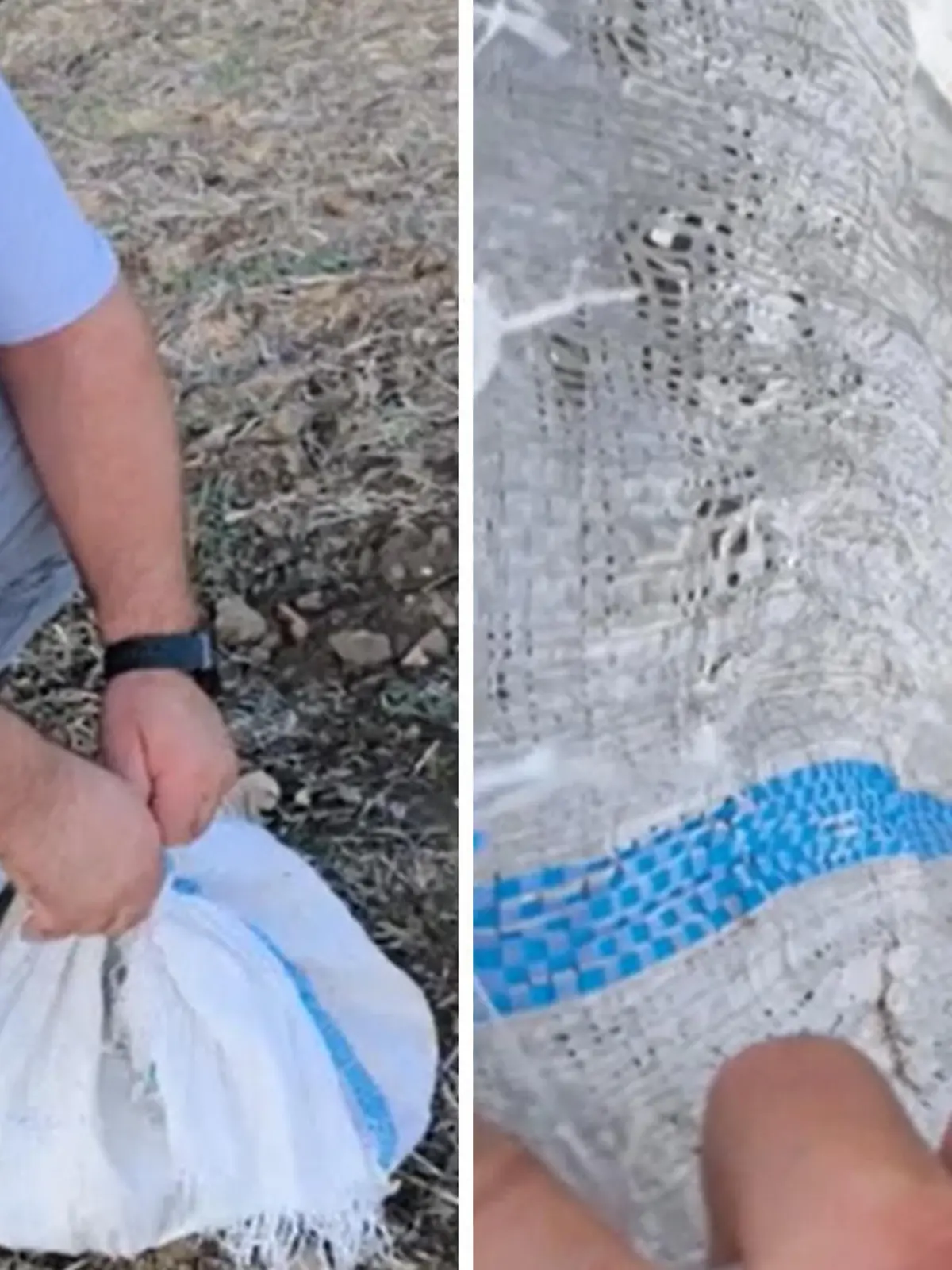 Bild zu: "Tierquäler steckt Kätzchen in Sack - doch sie hat Glück!"