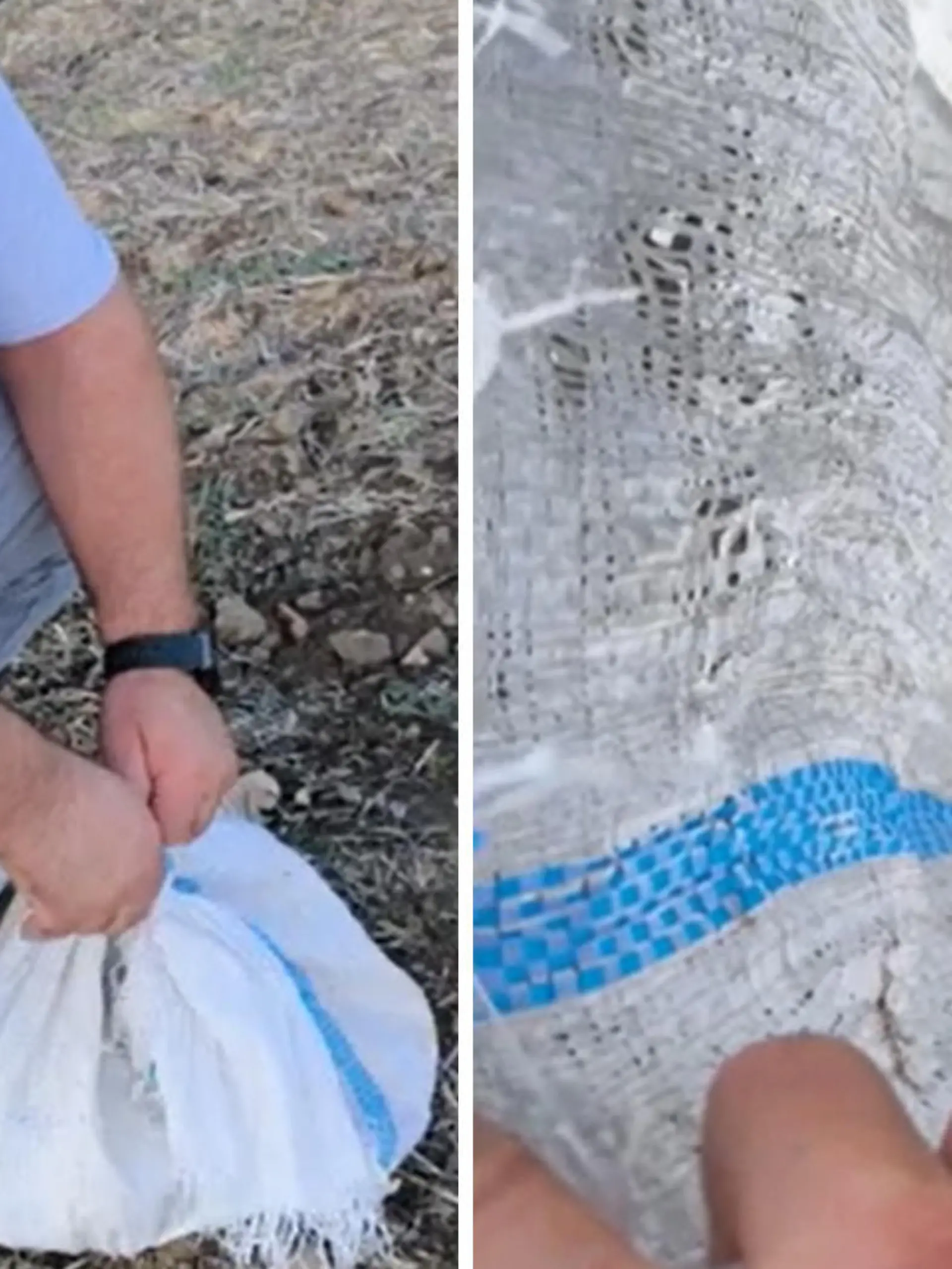 Bild zu: "Tierquäler steckt Kätzchen in Sack - doch sie hat Glück!"