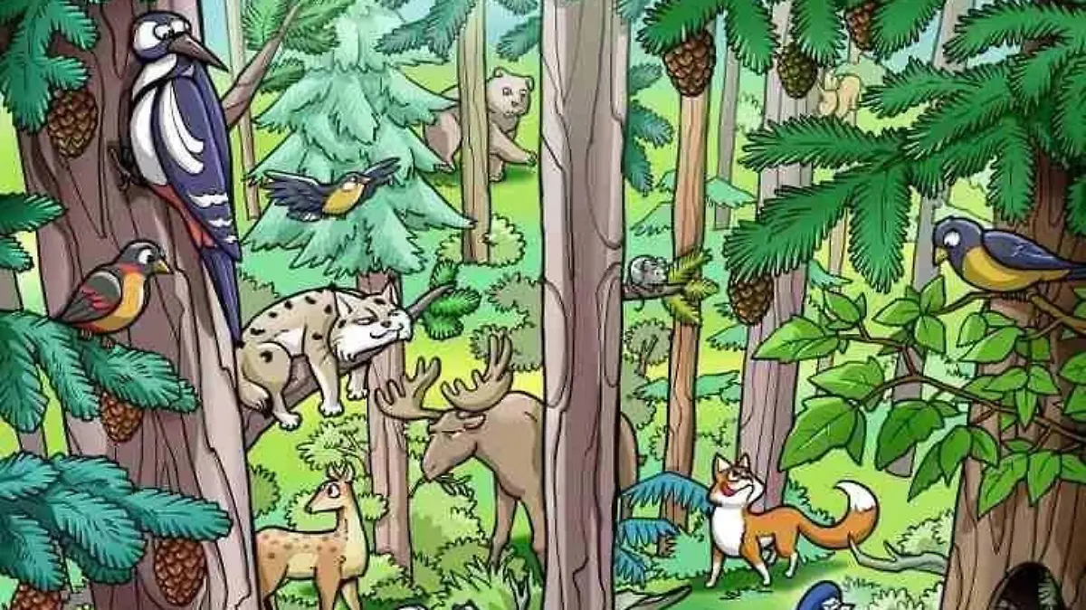 Eichhörnchen-Suchbild