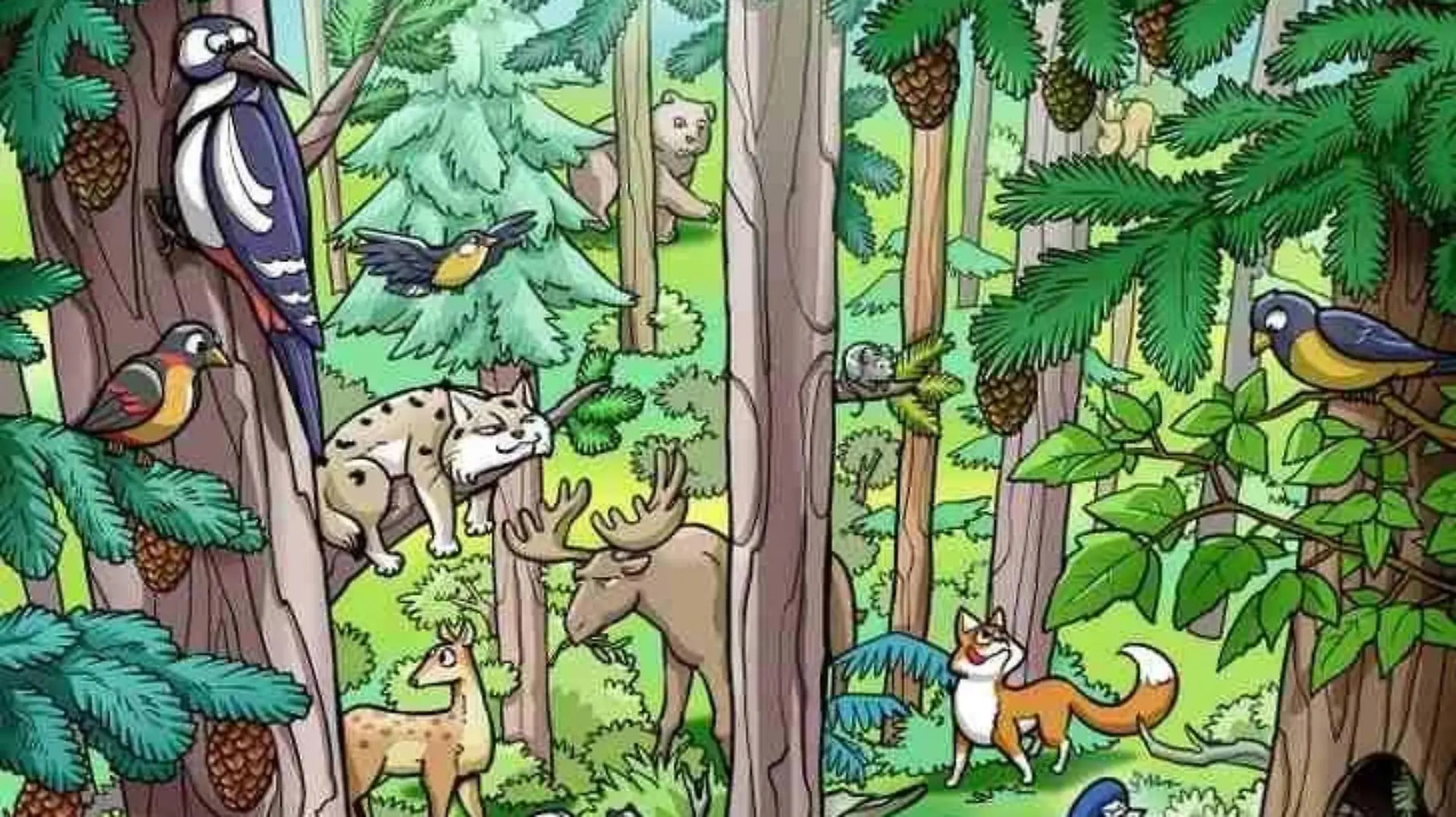 Eichhörnchen-Suchbild