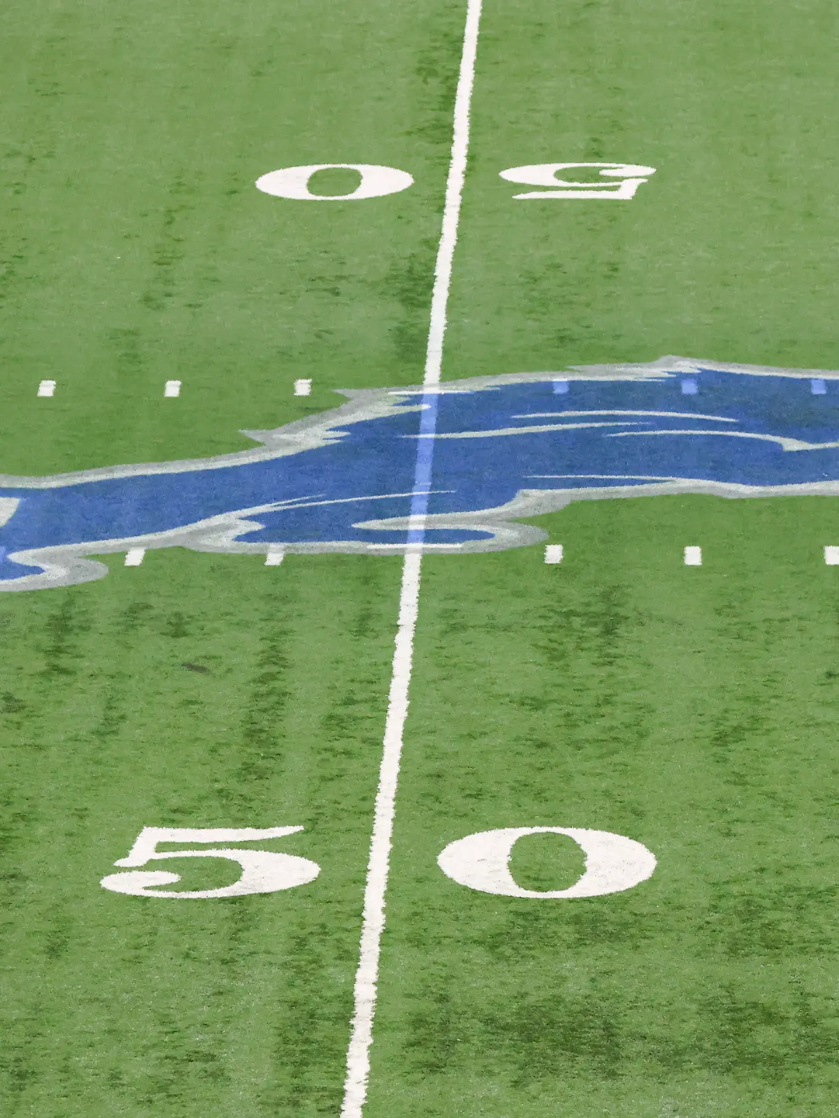 Detroit Lions
