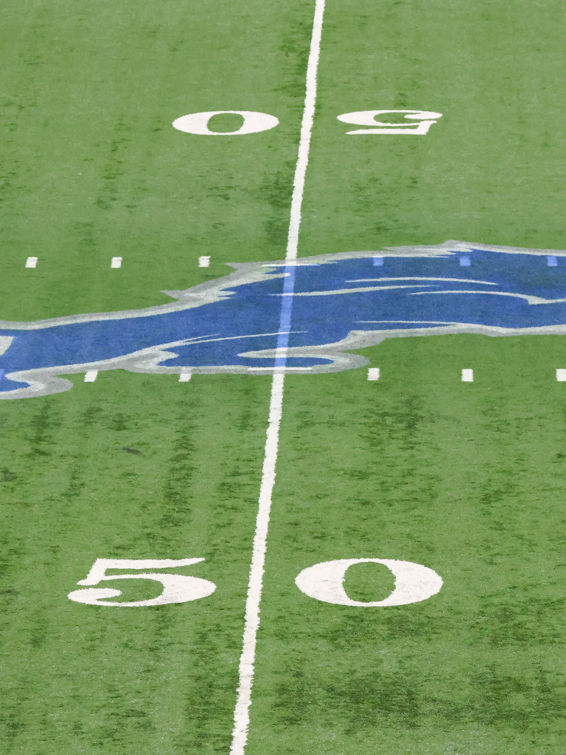 Detroit Lions