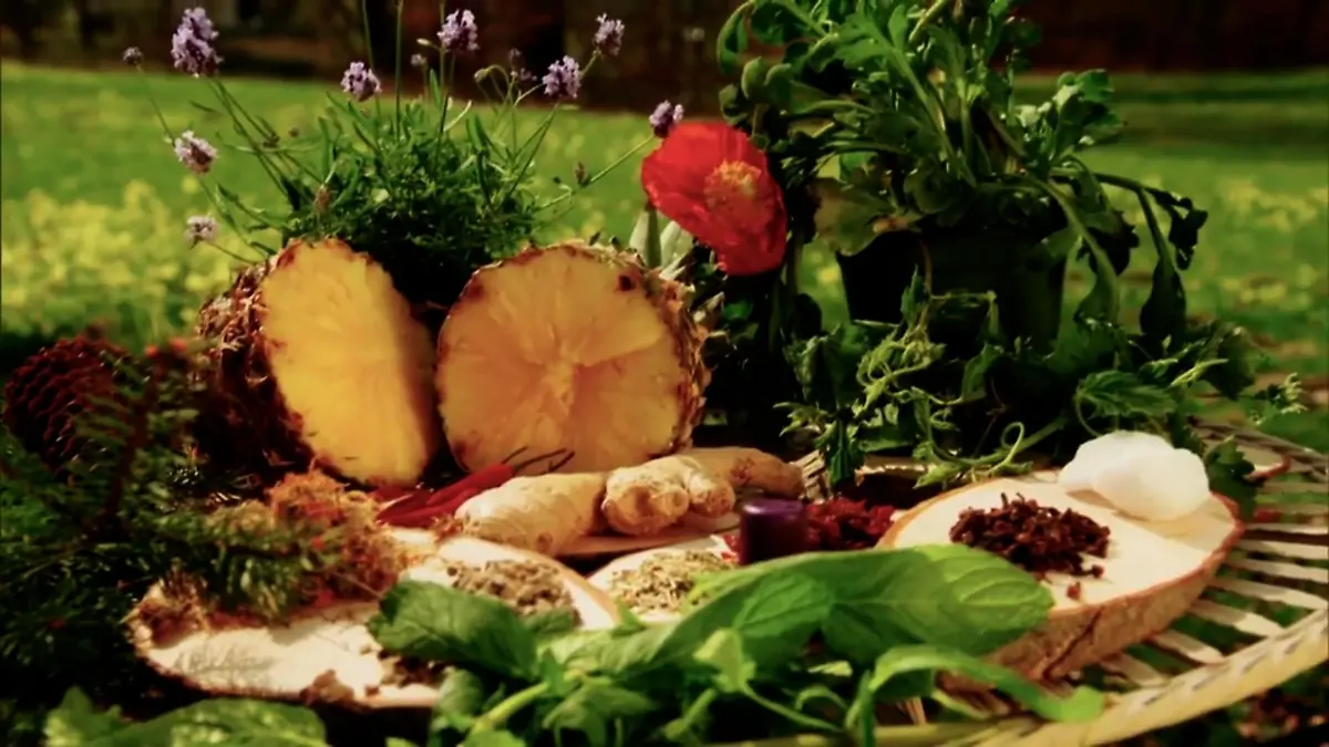 Diese Naturheilmittel helfen gegen Schmerzen Mittelchen aus der Natur