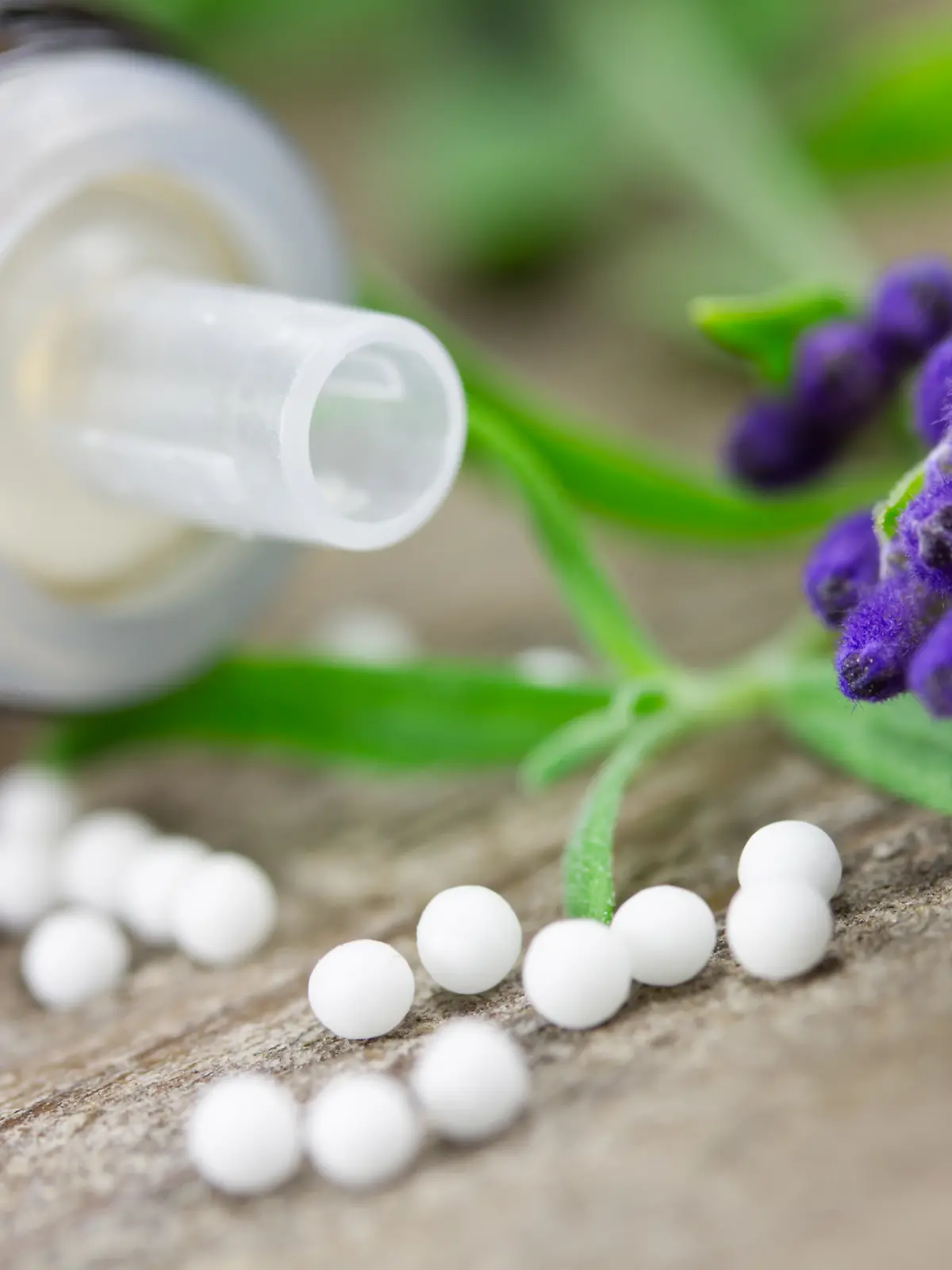 Bild zu: "Wann helfen Lavendel, Arnika und Co.?"