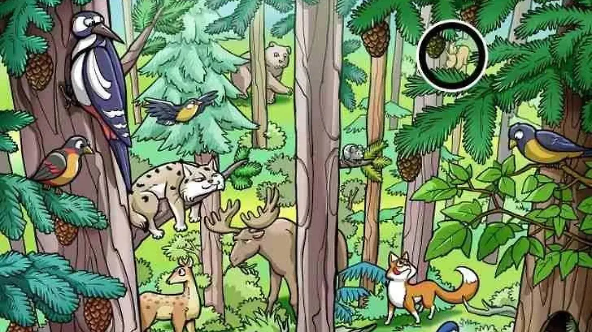 Auflösung des Eichhörnchen-Suchbildes