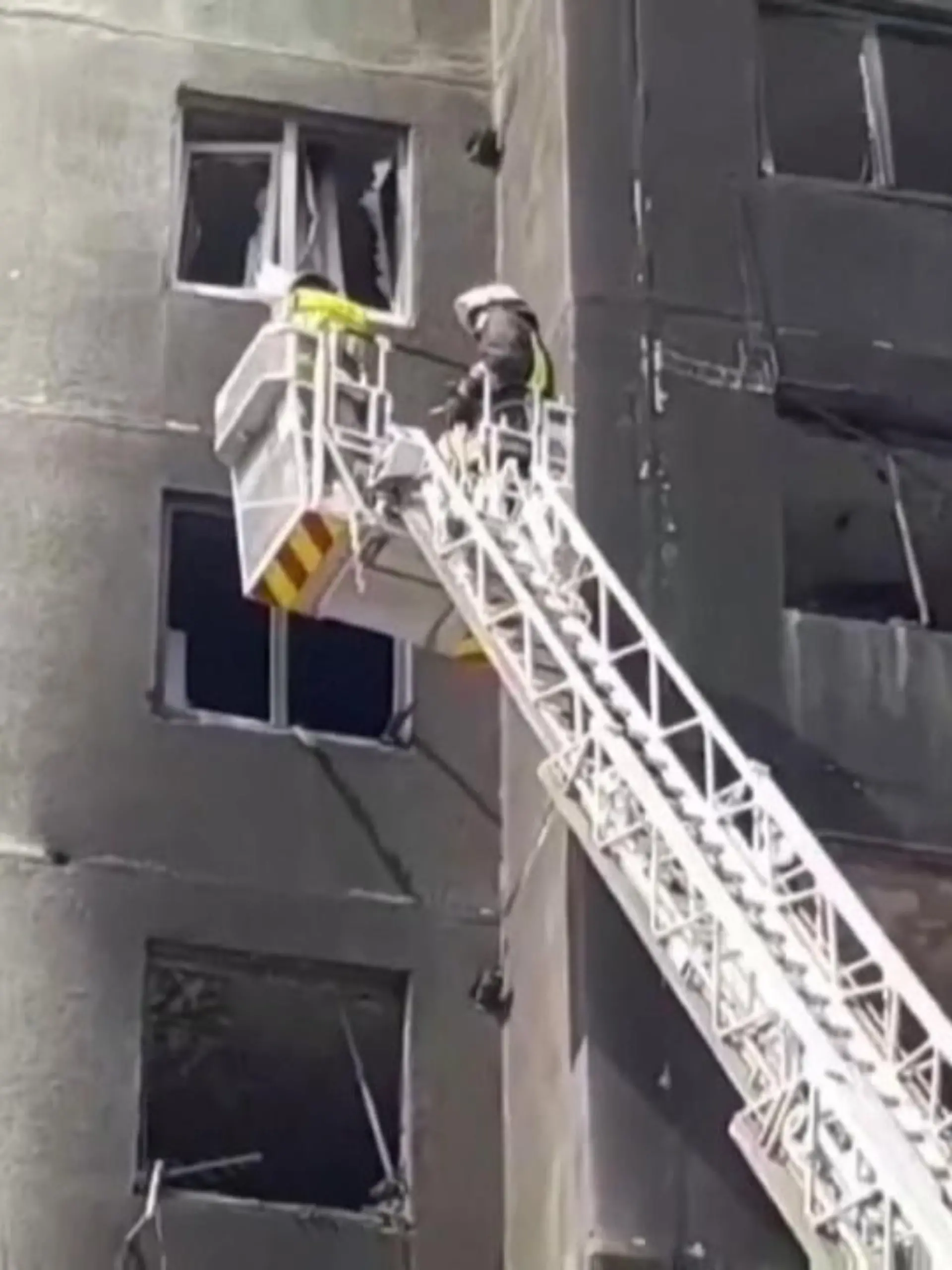 „In einem Dorf, wo man den Tod noch riecht, geschah ein kleines Wunder“ – so beschrieben Feuerwehrleute aus der Ukraine diese Rettungsaktion. In einem Dorf in der Nähe von Kiew wurde eine Katze aus einem zerstörten Gebäude geborgen. Die Gegend war in den letzten Wochen hart umkämpft, die Ukraine konnte sie inzwischen halten. Mit Wasser wurde die Katze wieder aufgepäppelt. Dank den Feuerwehrmännern hat sie überlebt.