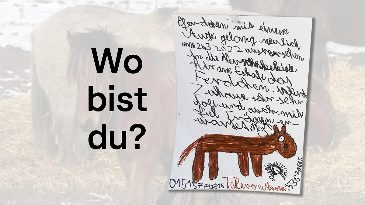 Vermisstenanzeige: Pferdchen wird vermisst