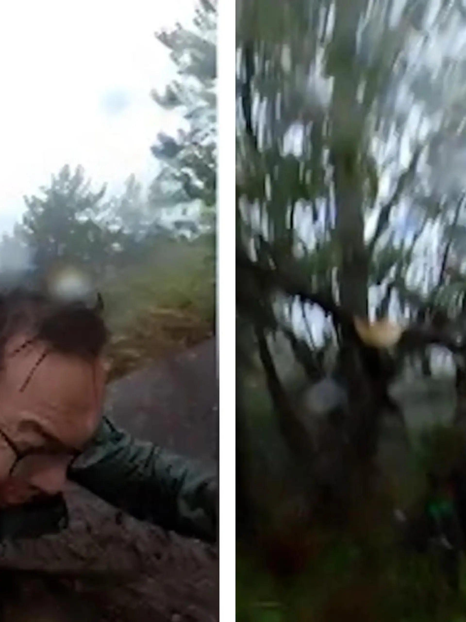 Nur ein Baum rettet ihn vor dem Tod! Wanderer verliert Halt und rutscht von Klippe 