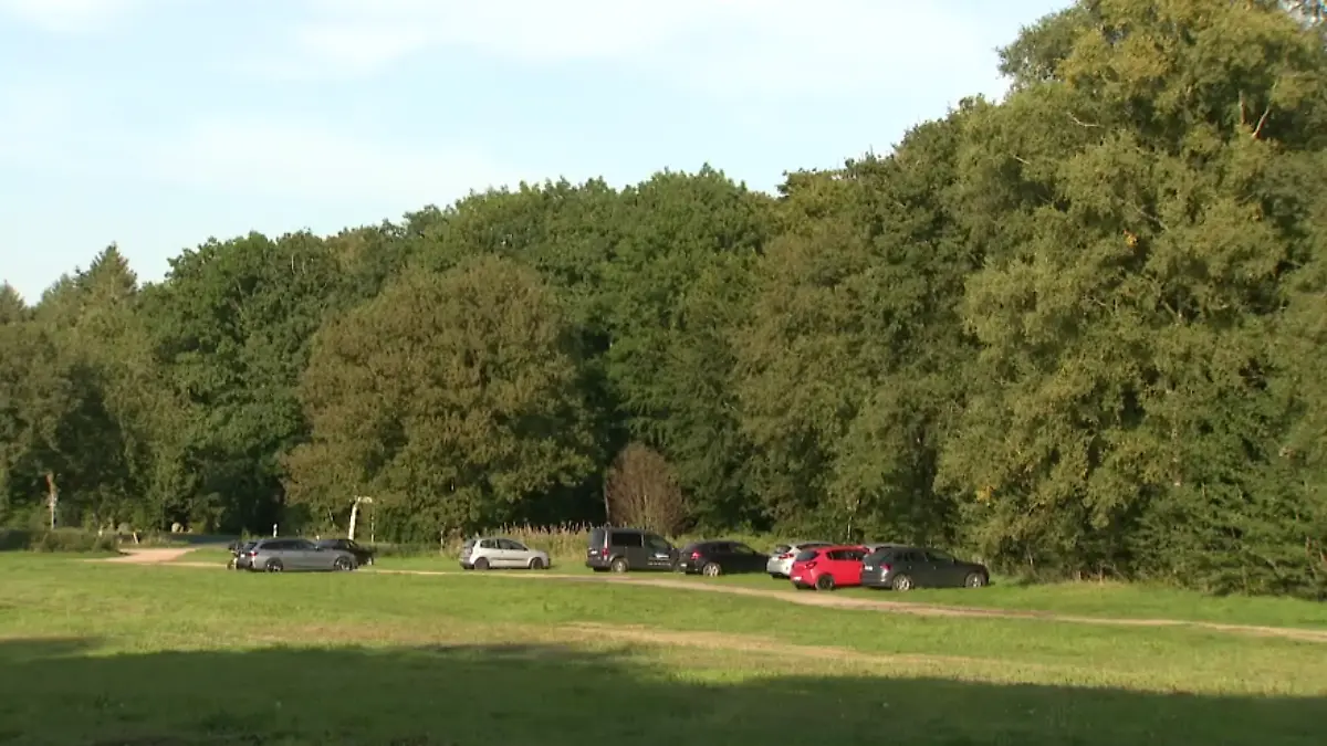 Eine Wiese mit geparkten Autps.