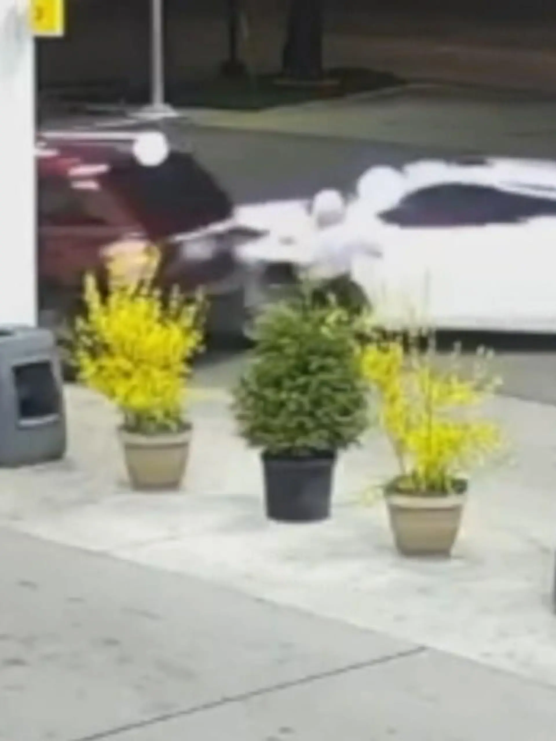 Heftiger Ausraster an einer Tankstelle in Michigan in den USA. 
Eigentlich wollten sich hier zwei Frauen nur treffen, um Kleider auszutauschen. Doch die Situation eskaliert komplett - die heftigen Bilder sehen Sie im Video!