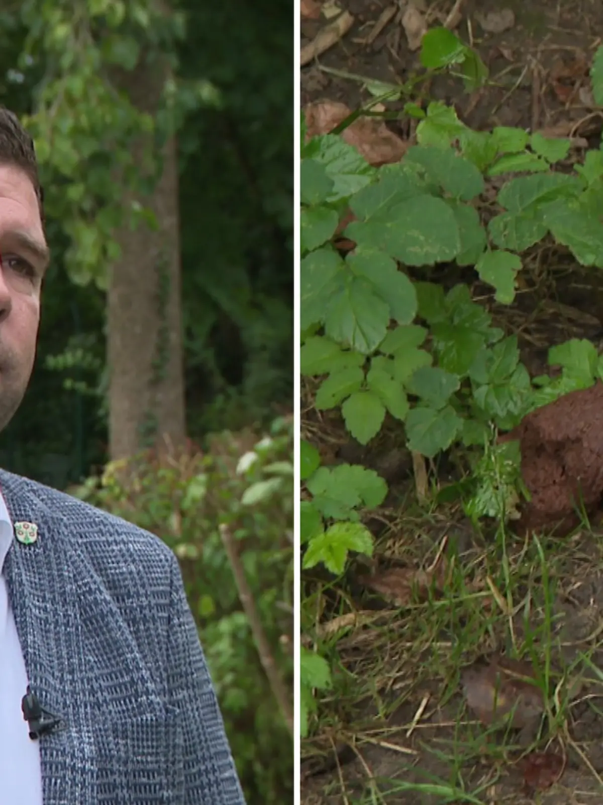 Fotokollage: Links Bürgermeister Tobias Silbereis (parteilos), rechts ein Hundehaufen