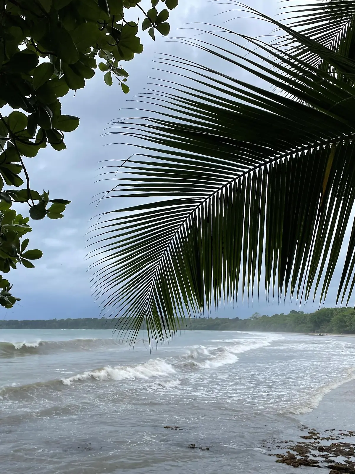 Unsichtbare Gefahr unter Wasser: Strömungen