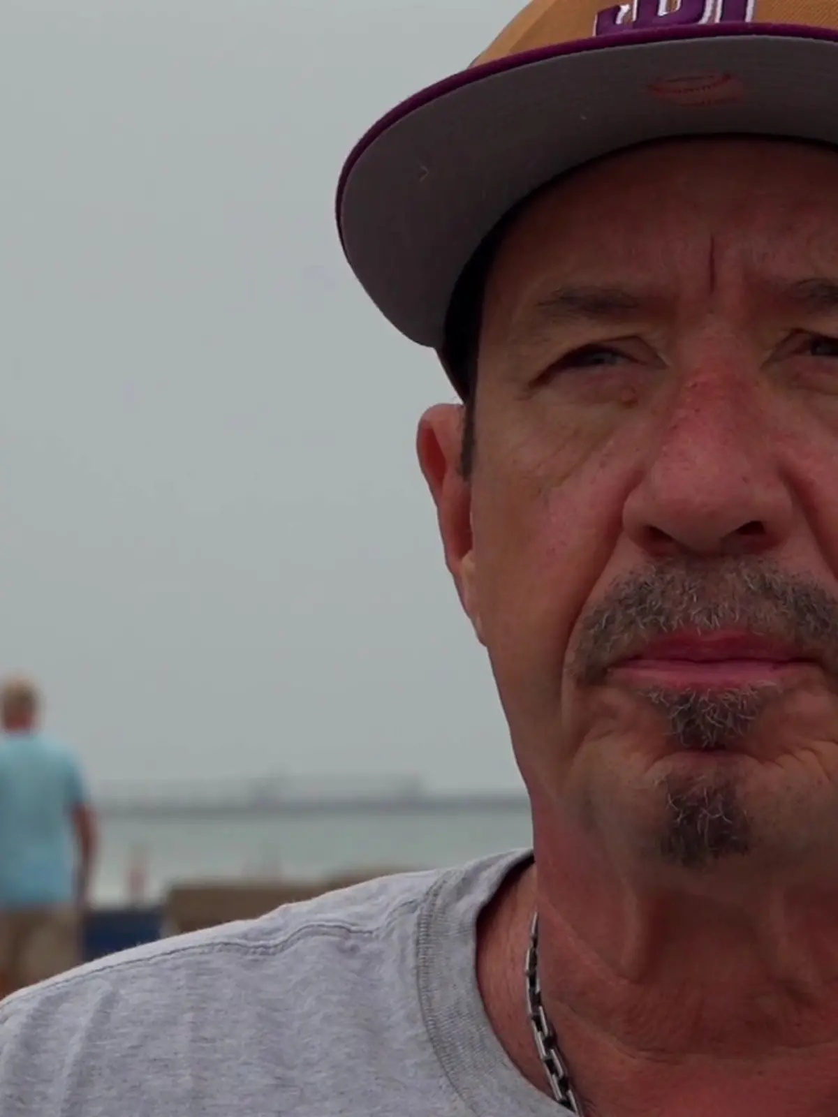 Bild zu: "Seelöwe beißt 61-jährigen Schwimmer krankenhausreif"