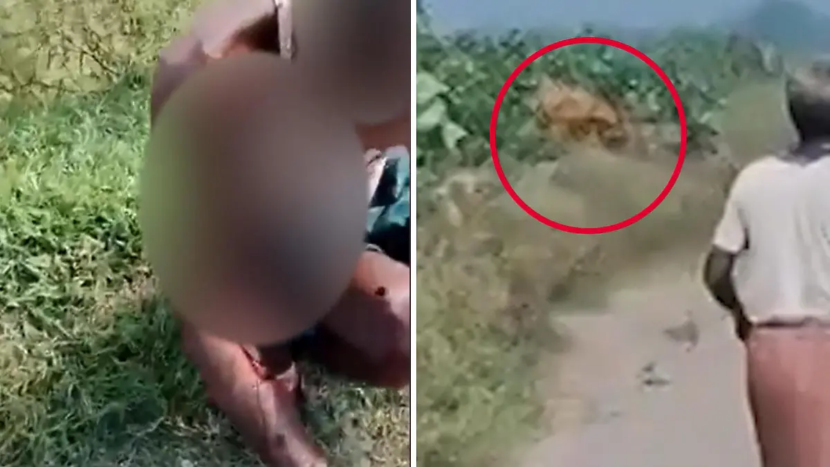 De mens zal wild rondlopen – dan zal hij in zijn leven een tijger een dorpshuis binnen kunnen rennen!