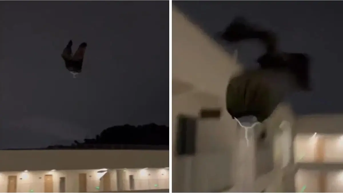 Vom Winde verwehht! Horror-slangvliegen Frau um die Ohren Wie is er gruwelijk?!