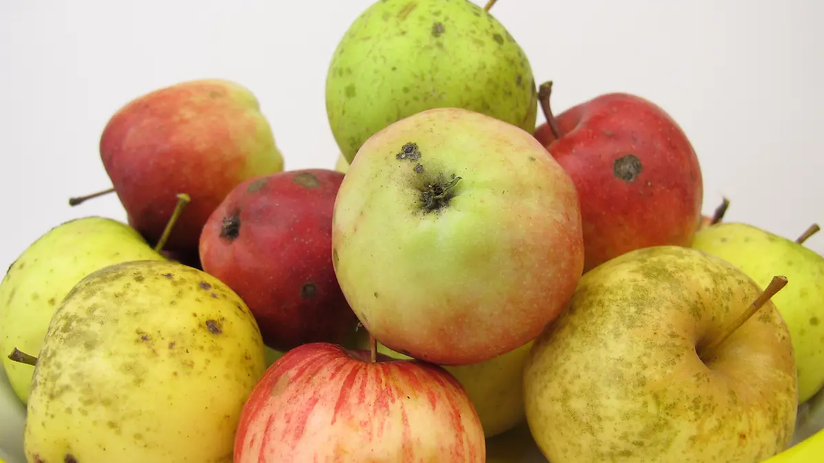 Beschädigte Äpfel