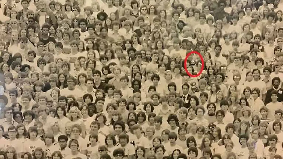 Auflösung Panda-Suchbild