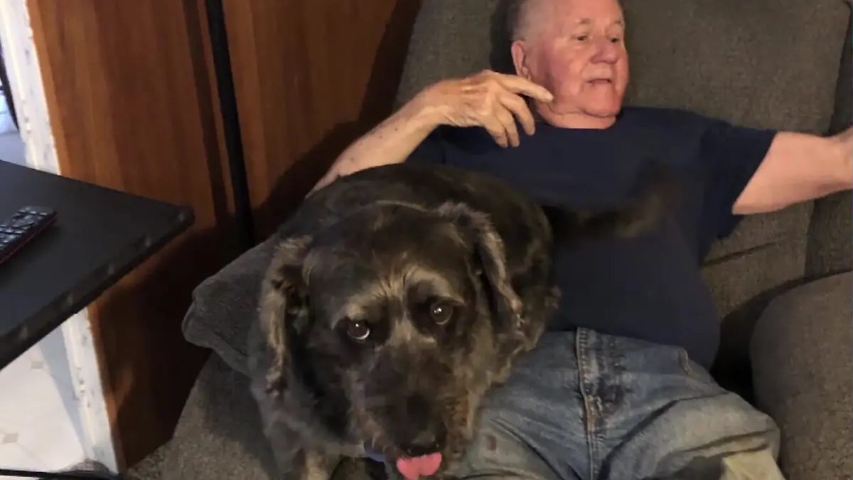 Hund Lucky gestohlen