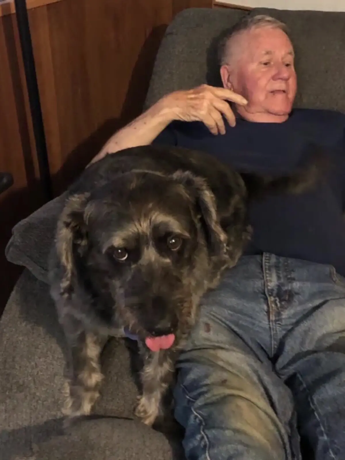 Hund Lucky gestohlen
