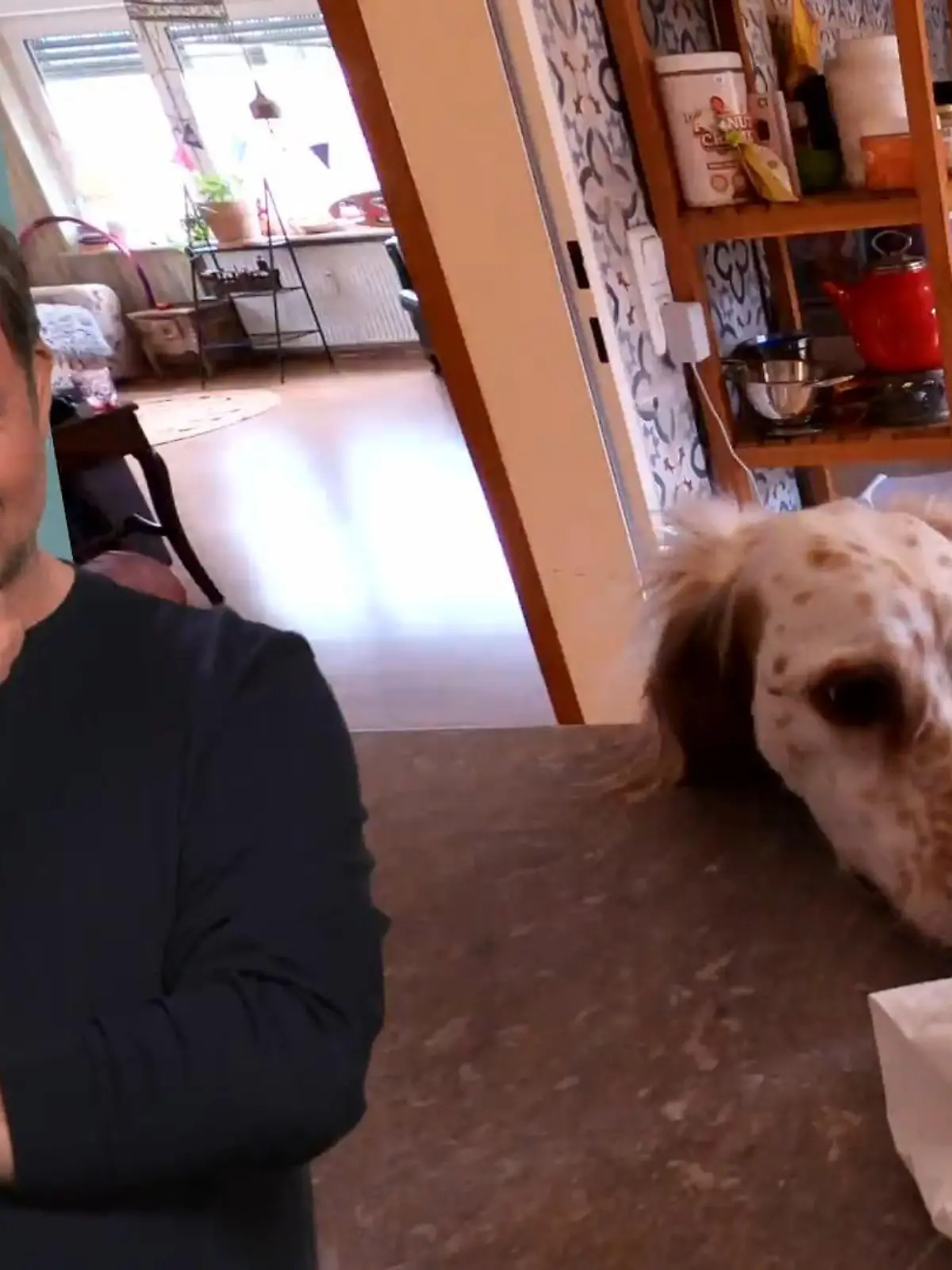 Bild zu: "Setterhündin Wanda findet alles"