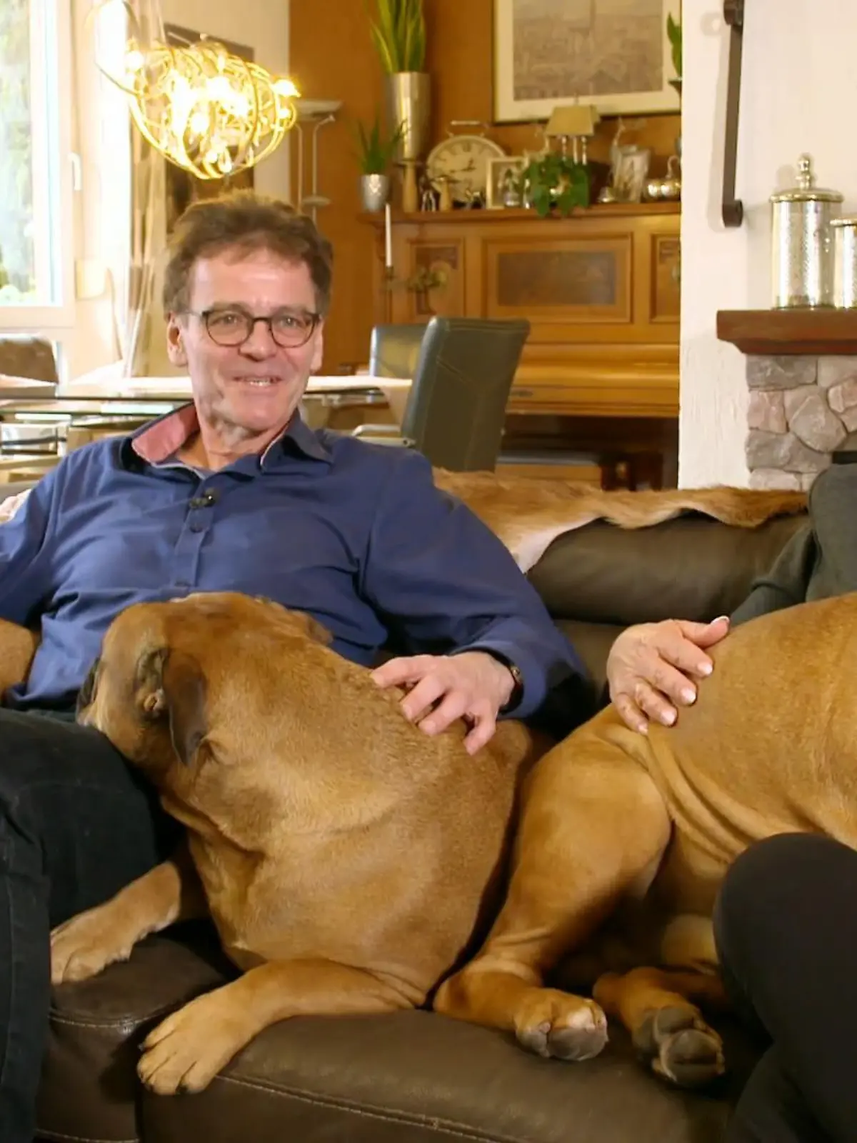 Bild zu: "Continental Bulldogge rastet draußen aus"