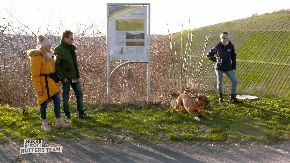 Der Test mit Trainerin Sophie startet Enzo rastet aus
