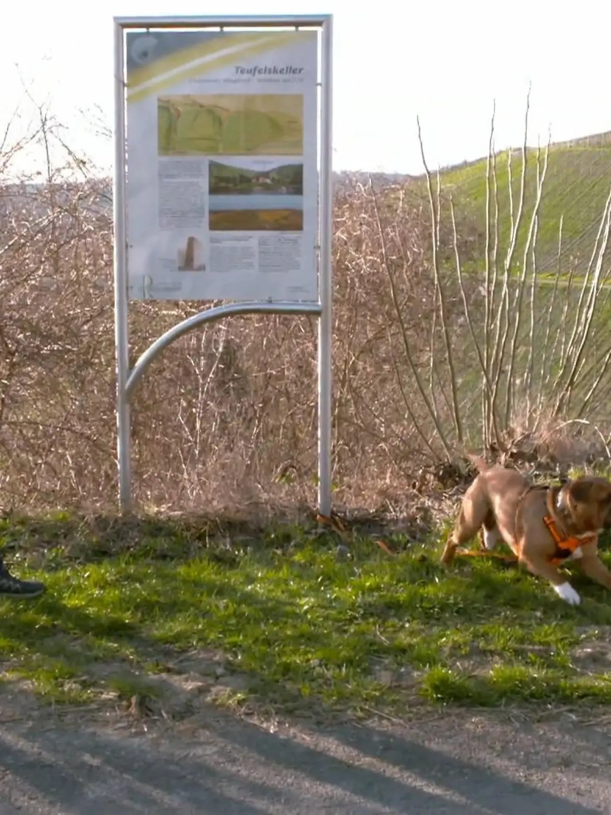 Bild zu: "Der Test mit Trainerin Sophie startet"