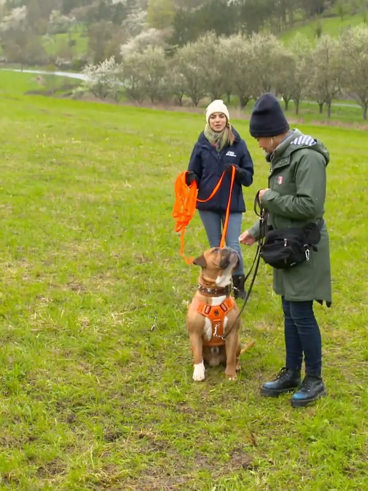 Bild zu: "Hundetrainerin Sophie zurück bei Enzo"