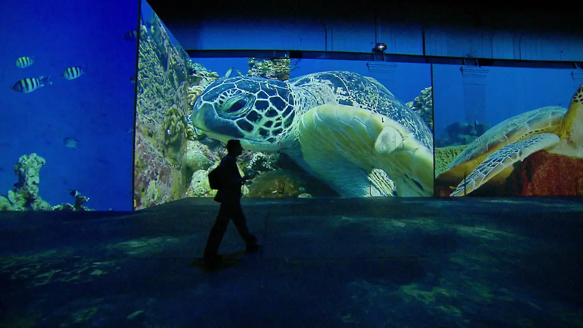 Neue Ausstellung zur Unterwasserwelt Dortmund