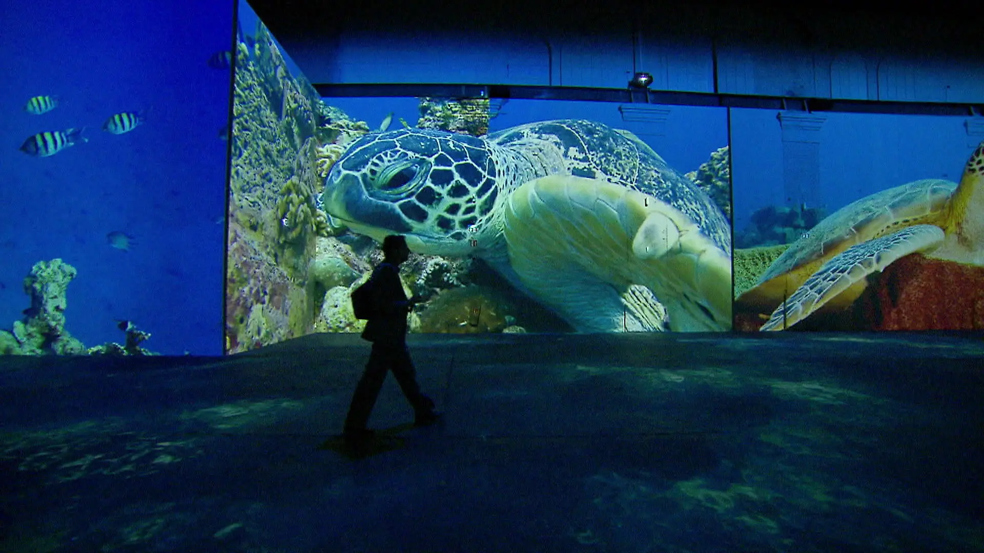 Neue Ausstellung zur Unterwasserwelt Dortmund
