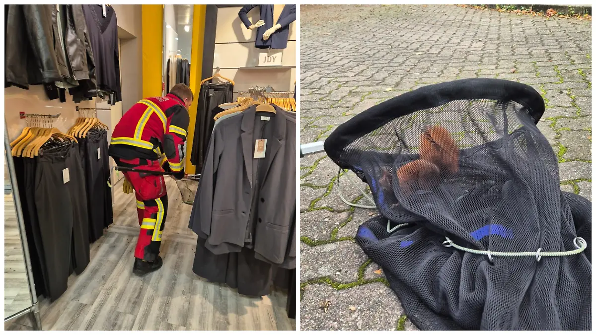 Ein Feuerwehrmann sucht in einem Modehaus nach einem Eichhörnchen.