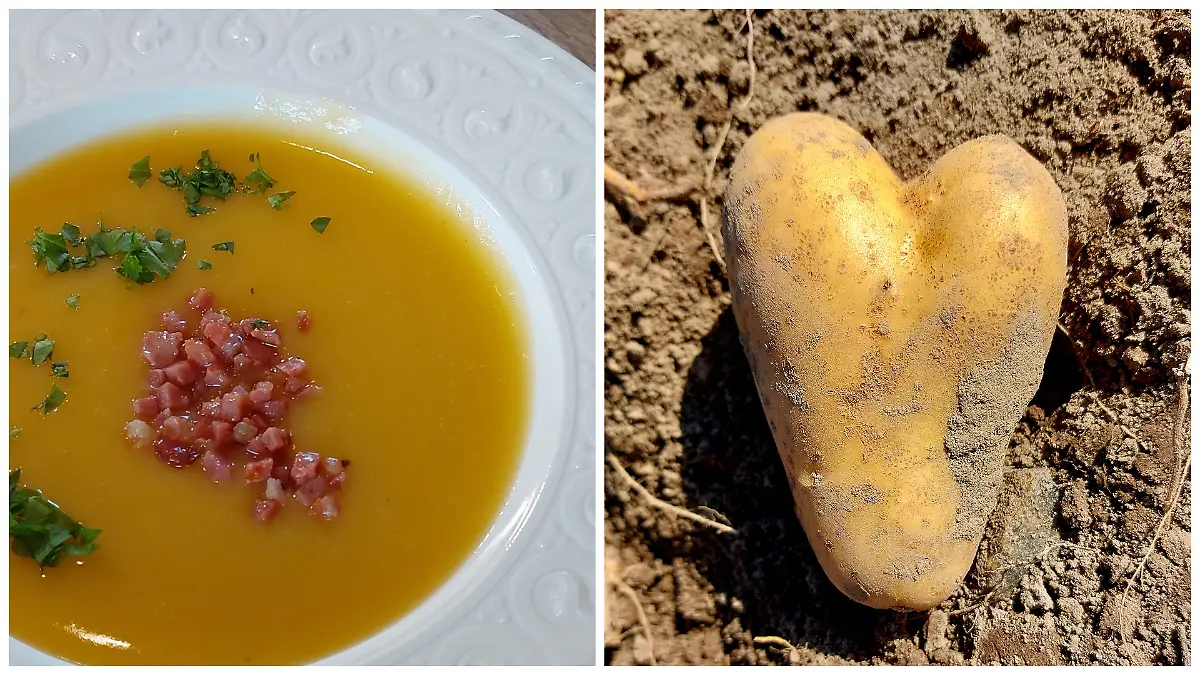 Auf dem Bild ist eine Kartoffelsuppe zu sehen und eine Kartoffel in Herzform.