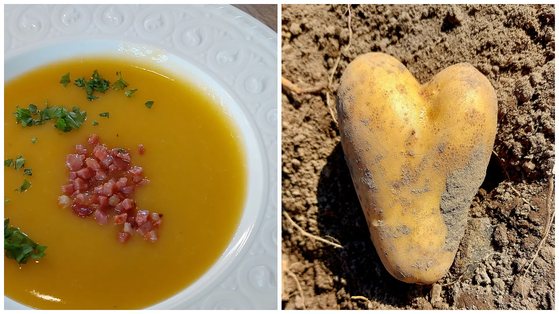 Auf dem Bild ist eine Kartoffelsuppe zu sehen und eine Kartoffel in Herzform.