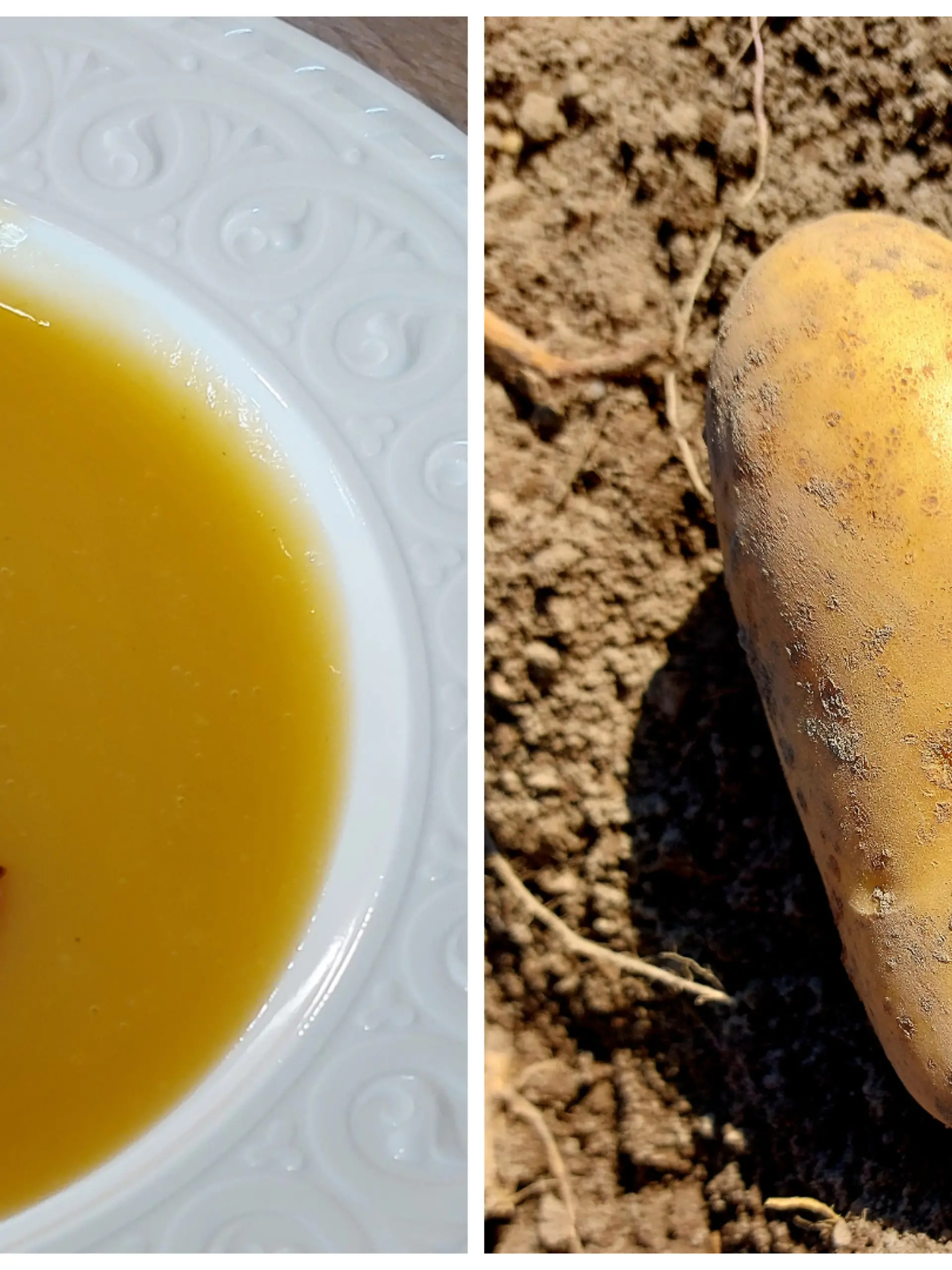 Auf dem Bild ist eine Kartoffelsuppe zu sehen und eine Kartoffel in Herzform.