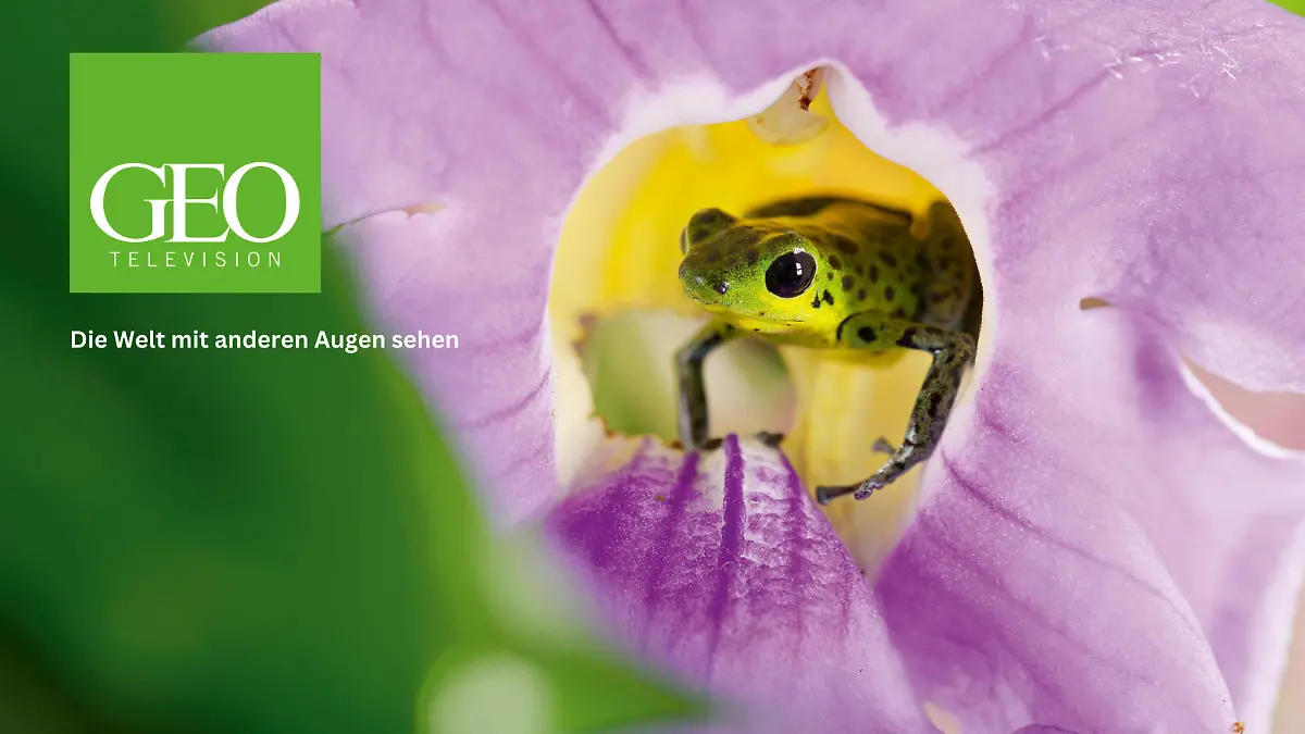 Die Welt mit anderen Augen sehen Highlight-Trailer