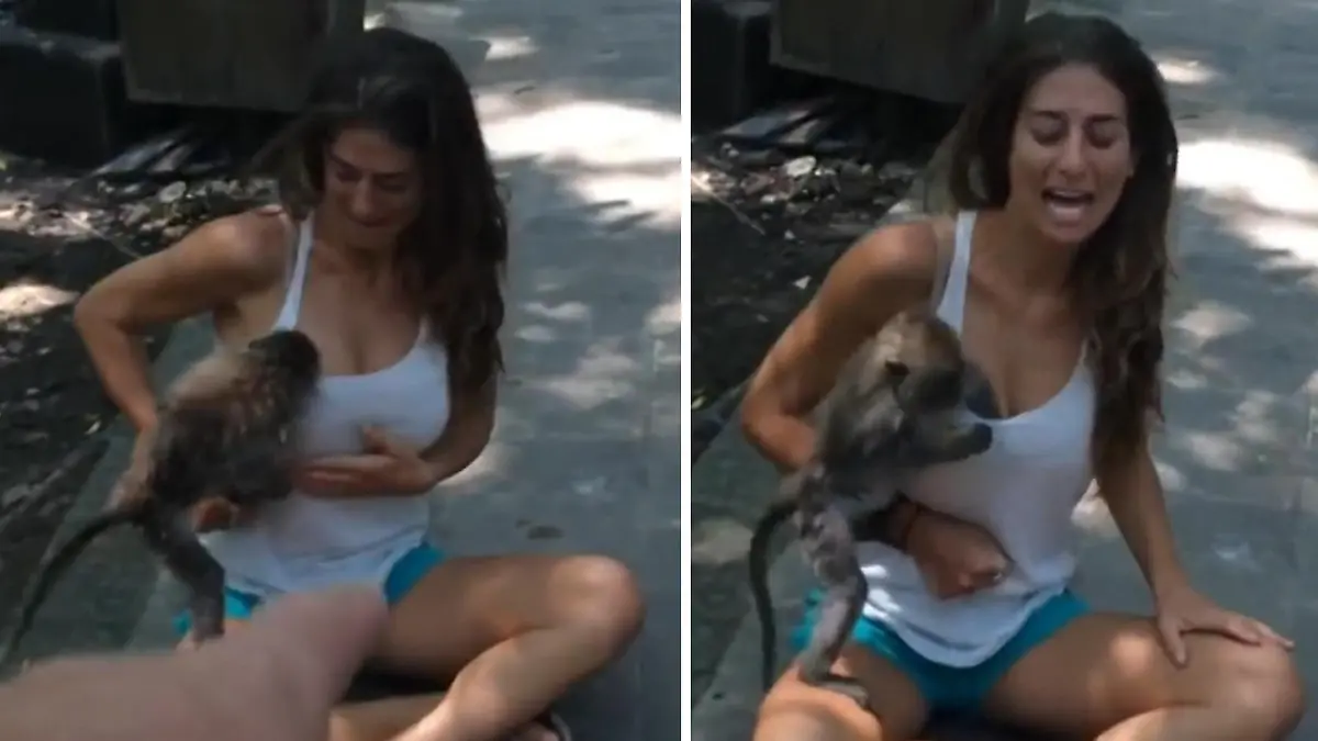 Wilder Busengrascher! De hoed van de Touristin abgesehen ER-hoed was dageggen