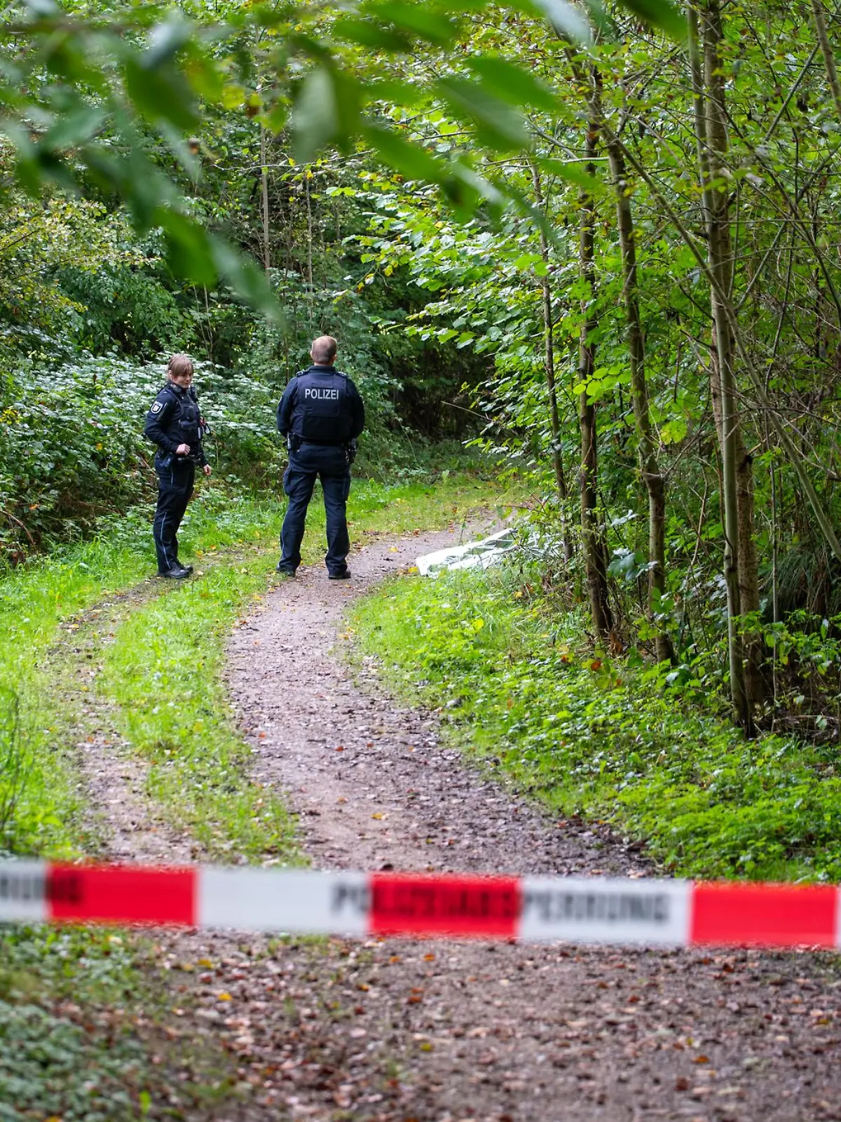 Bild zu: "Lauerte Mann seiner Ex-Frau (55) im Wald auf?"