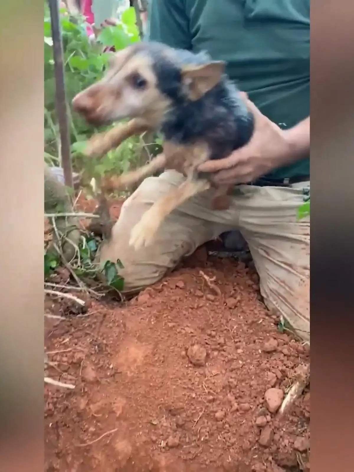Der kleine Terrier war im Jagdfieber. Er kletterte in einen Hasenbau. Doch dann brach die Erde über ihm zusammen. Die Retter versuchten alles, um den Kleinen zu retten.