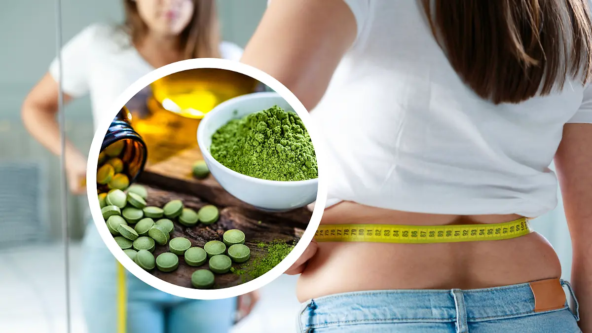 Moringa ist eine nährstoffreiche Pflanze aus Indien. Wir erklären die Gründe, wieso sie ein echtes Superfood ist – und ob sie wirklich den Abnehmprozess unterstützt.
