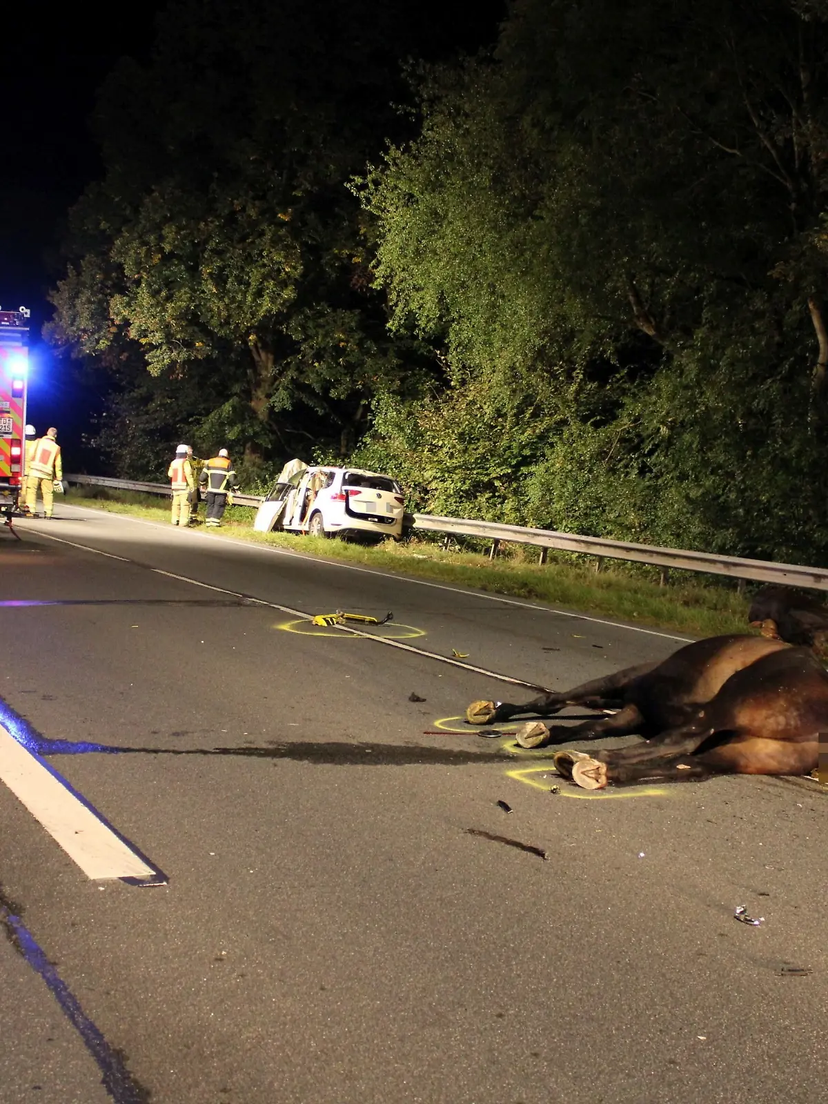Bild zu: "Trieb ein Wolf die panischen Pferde vor sein Auto?"