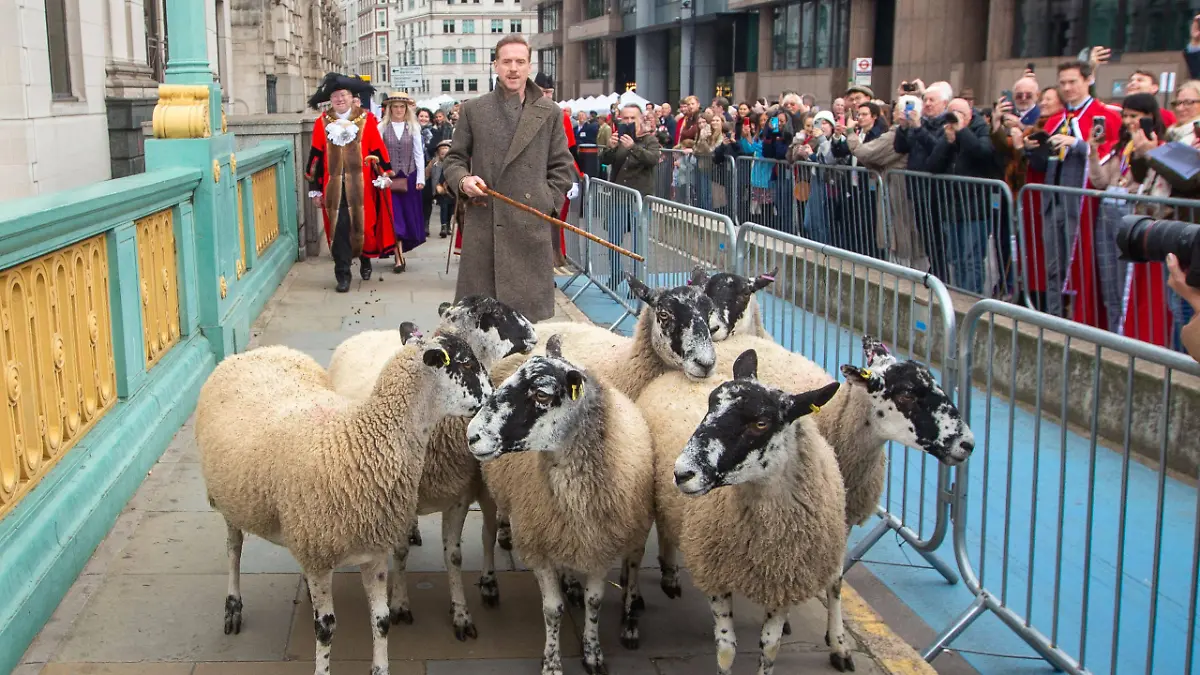 Schauspieler Damian Lewis treibt Schafe durch London Määääh!