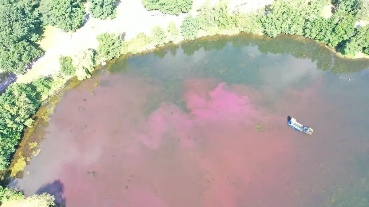 Die roten Verfärbungen im Allersee sind aus der Luft deutlich sichtbar.