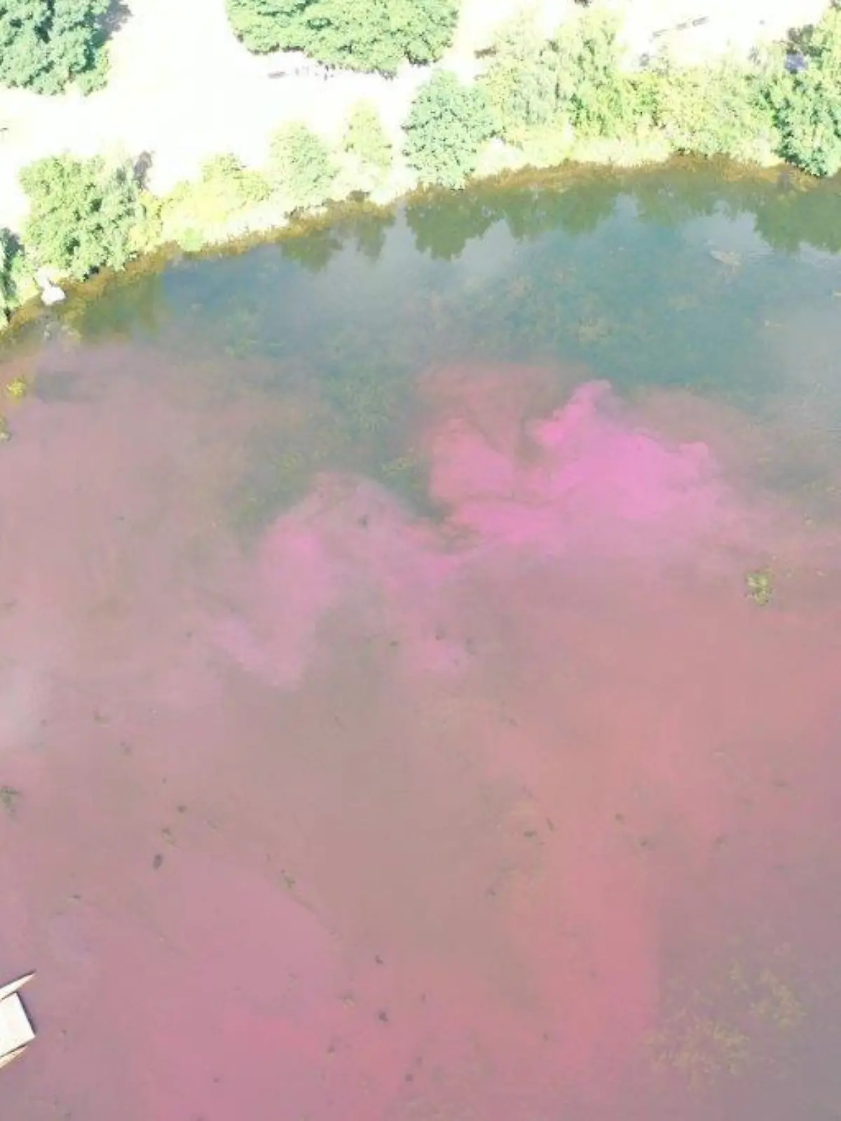 Die roten Verfärbungen im Allersee sind aus der Luft deutlich sichtbar.