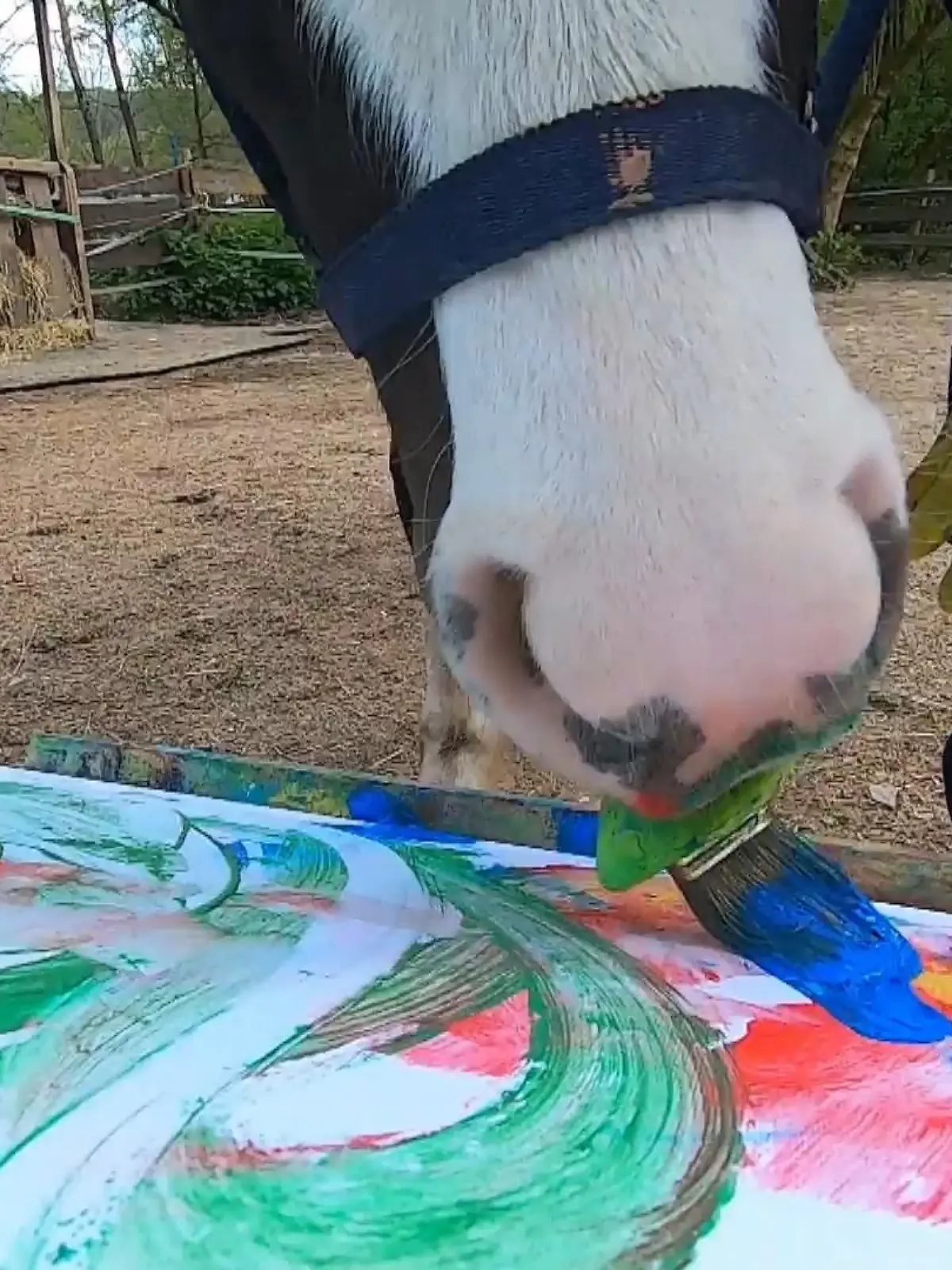 Bild zu: "Pony malt Bilder"