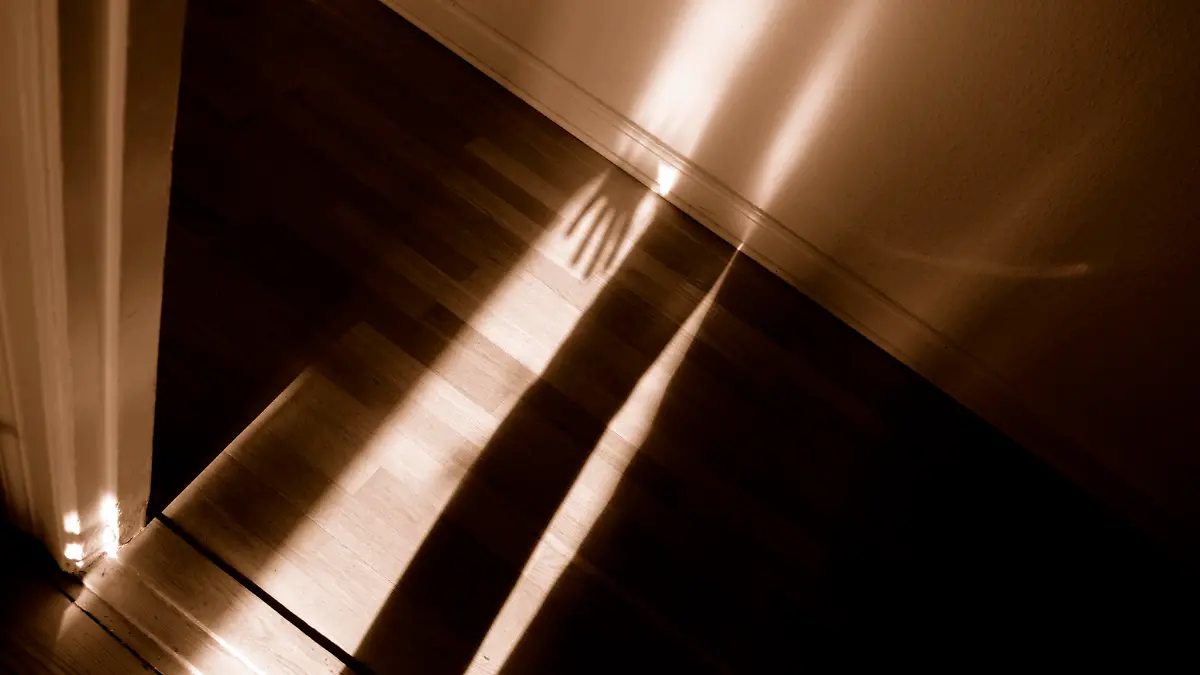Spooky shadow of hand of a person (could be a burglar, for instance) entering a hallway (only lit by the incoming sunlight).