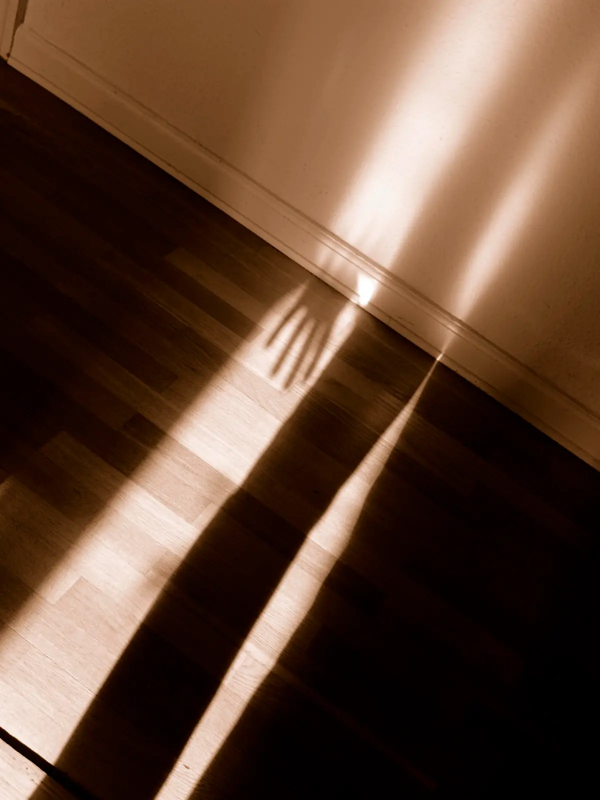 Spooky shadow of hand of a person (could be a burglar, for instance) entering a hallway (only lit by the incoming sunlight). 