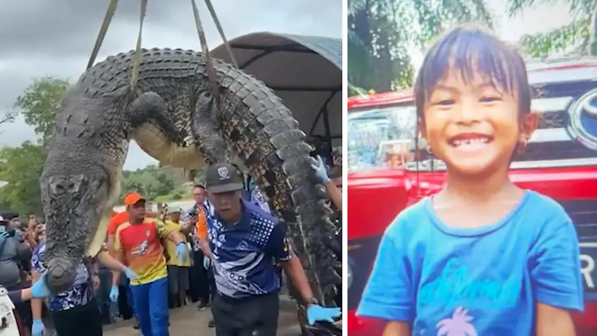 Cecelia (6) ontbreekt! Schock-Entdeckung im Magen des Tieres Von Riesenkrokodil gefressen?